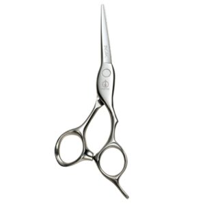 Mizutani Acro Beak Shear